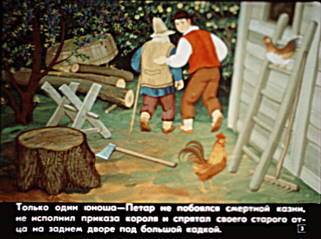Кадр 3 диафильма «Пшеница - лучший цветок»