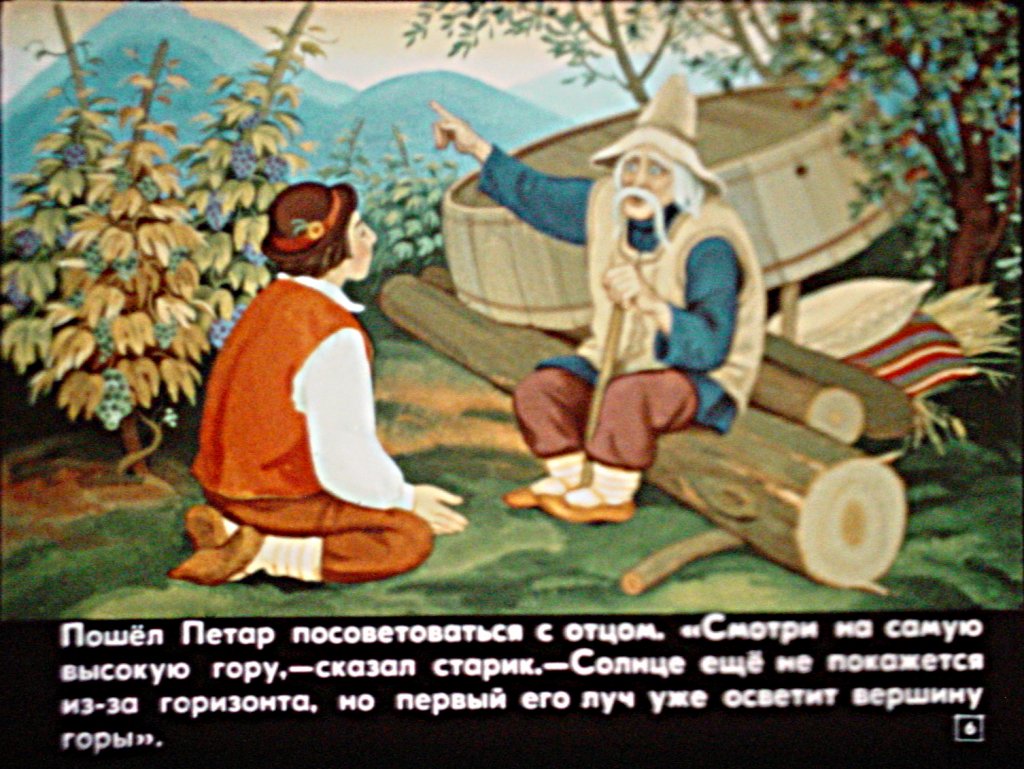 Кадр 6 диафильма «Пшеница - лучший цветок»