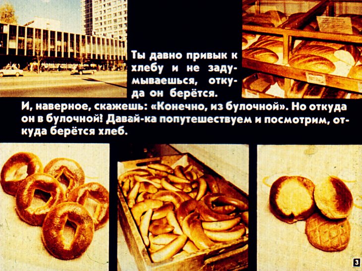Кадр 3 диафильма «От зерна до каравая»