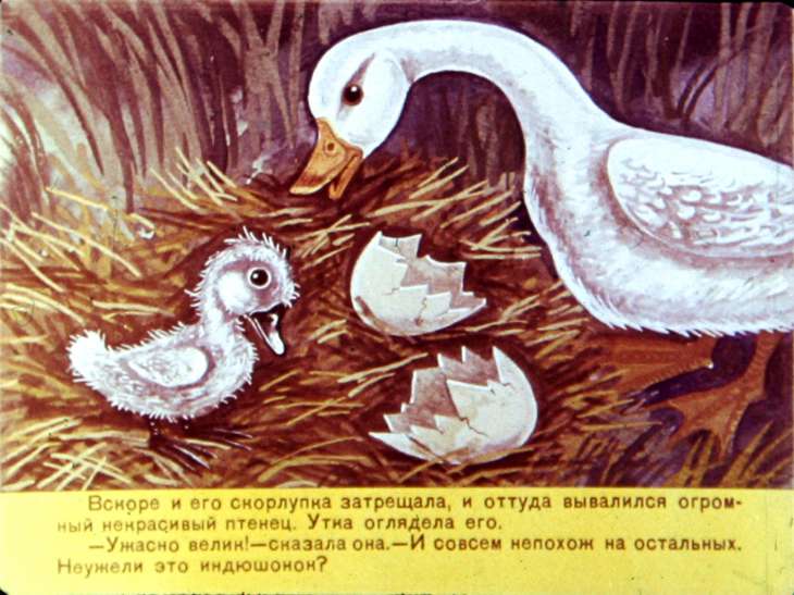 Кадр 6 диафильма «Гадкий утенок»