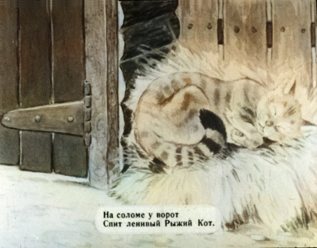 Кадр 2 диафильма «Жил-был рыжий кот»