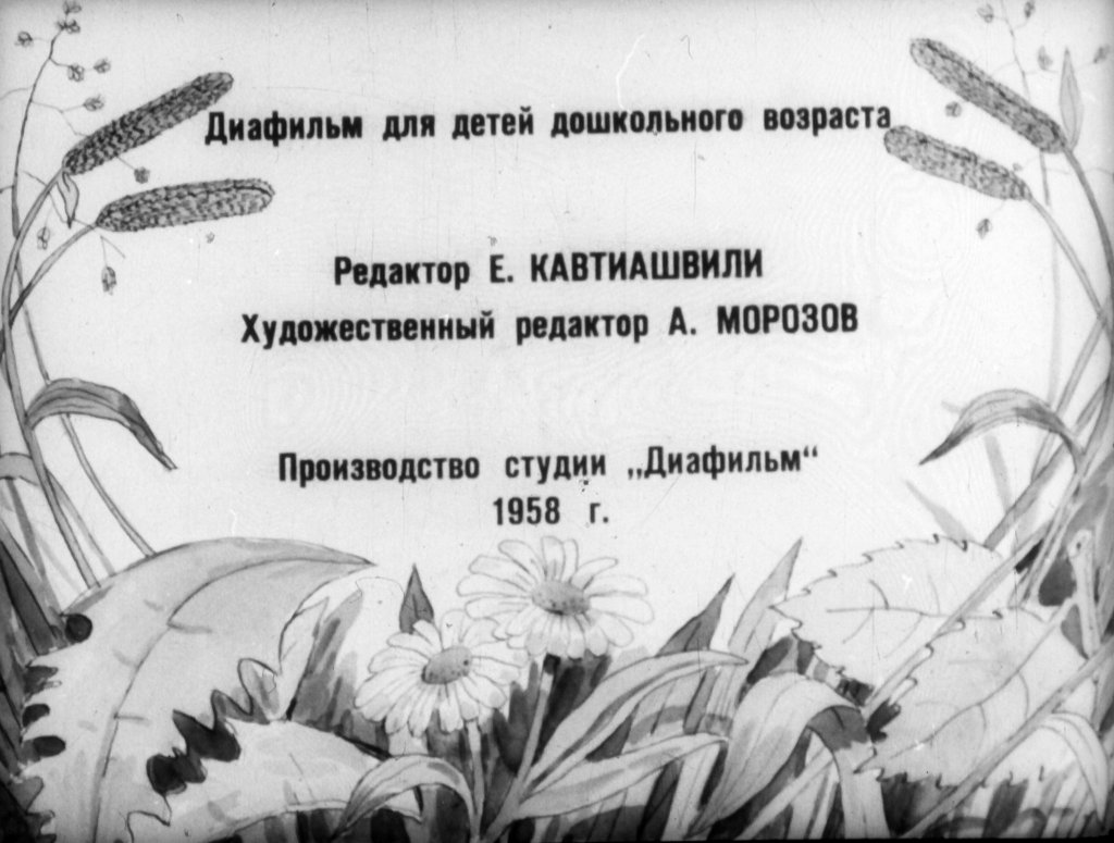 Кадр 2 диафильма «Паучок пилот»
