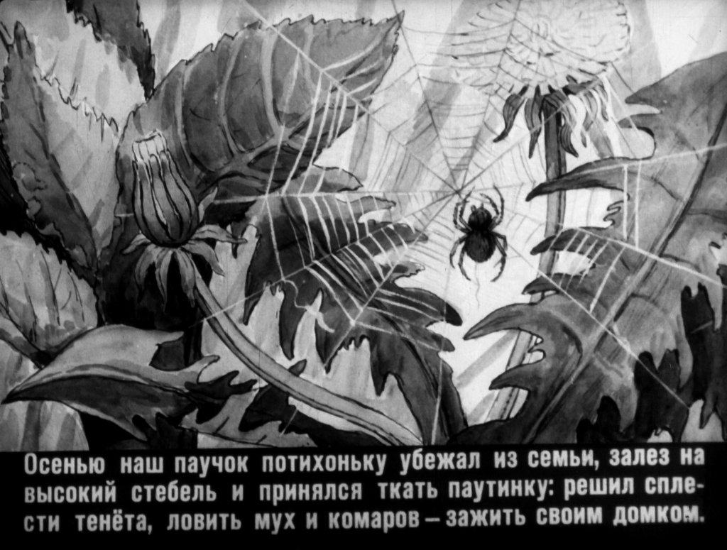 Кадр 4 диафильма «Паучок пилот»