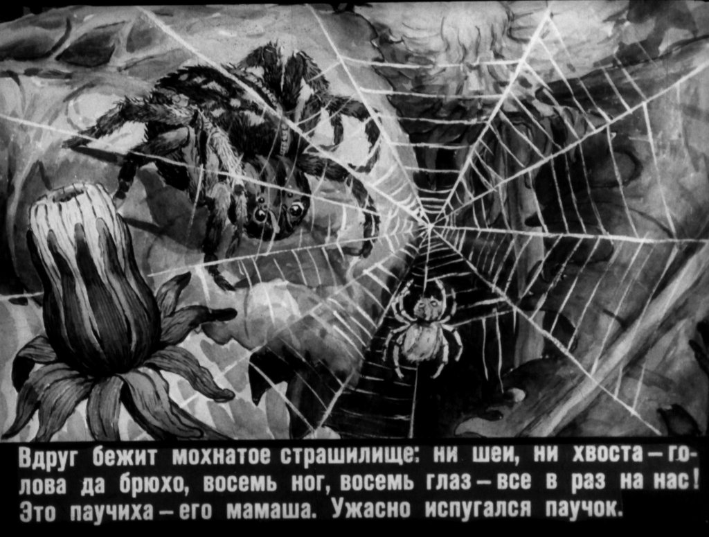 Кадр 5 диафильма «Паучок пилот»