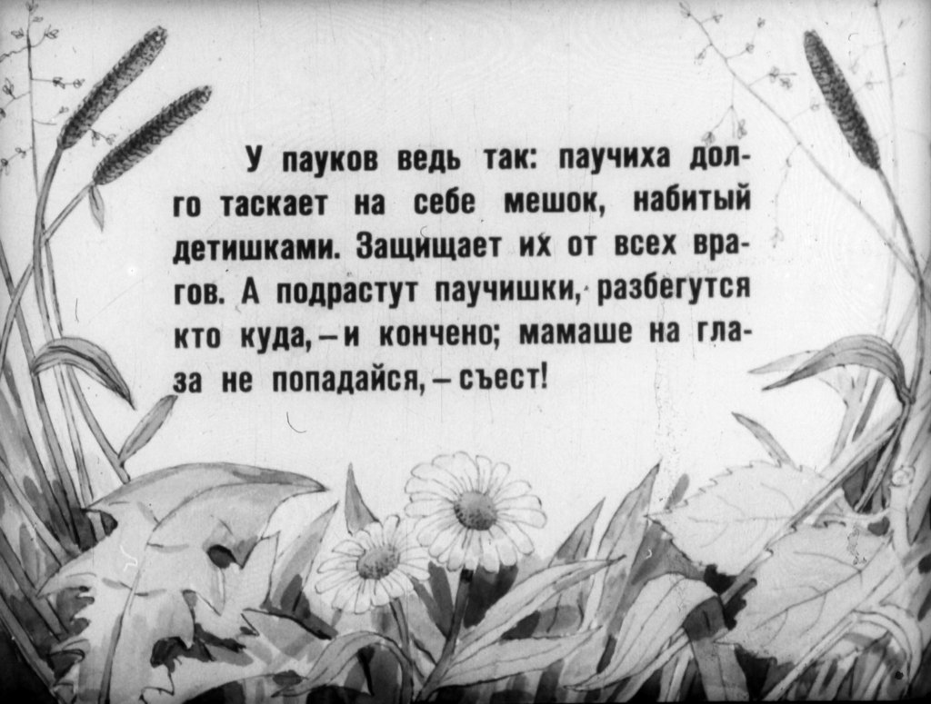 Кадр 6 диафильма «Паучок пилот»