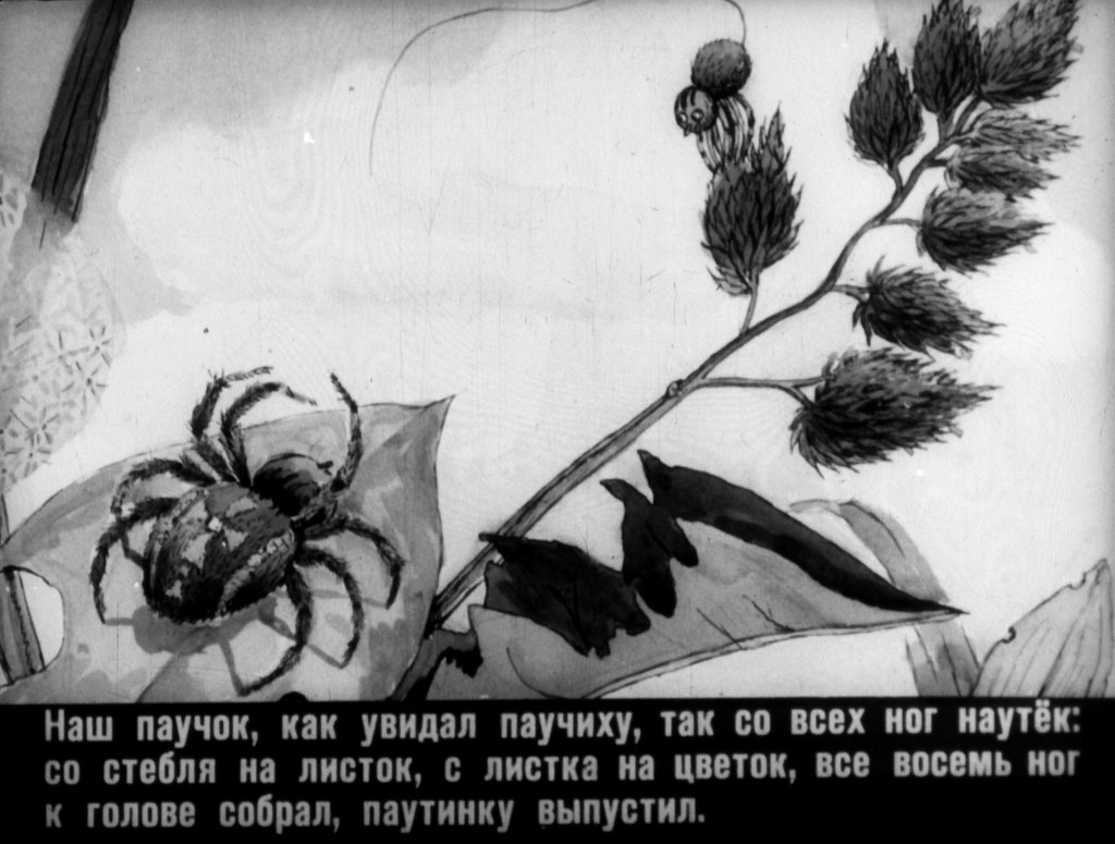 Кадр 7 диафильма «Паучок пилот»