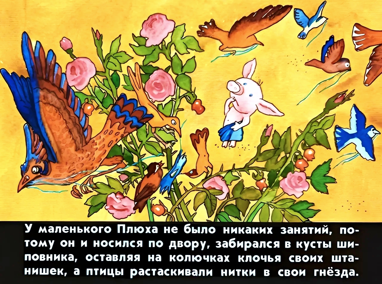 Кадр 6 диафильма «Про маленького поросенка Плюха»