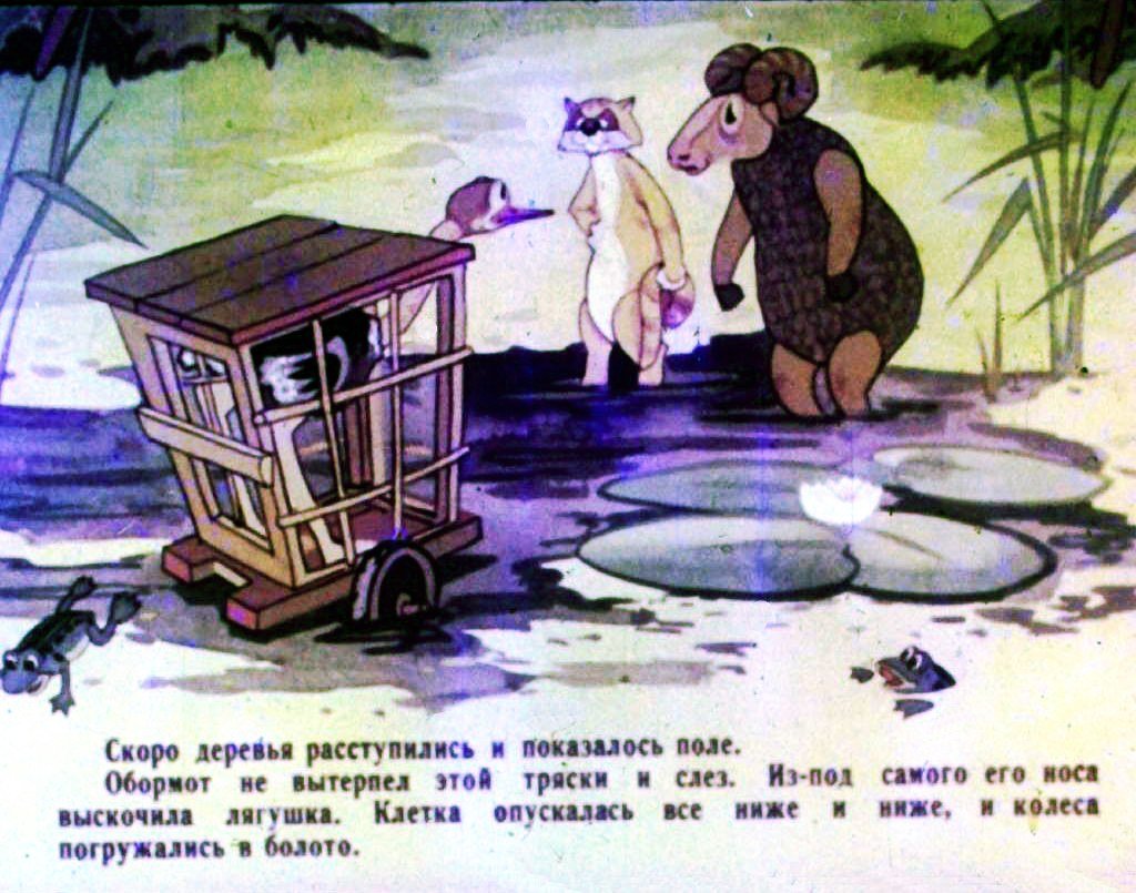 Кадр 3 диафильма «Я цыпленок, ты цыпленок. Часть 2»