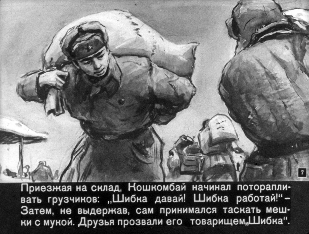 Кадр 7 диафильма «Товарищ Шибка»