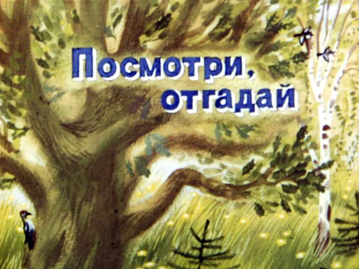 Кадр 2 диафильма «Посмотри, отгадай»