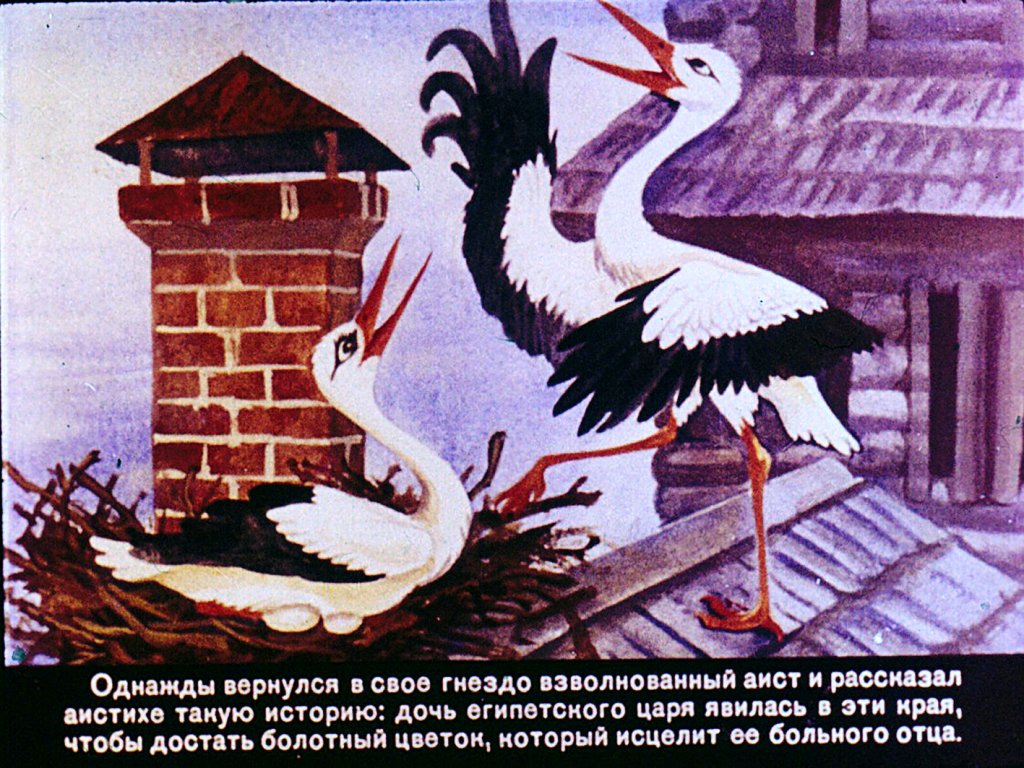 Кадр 3 диафильма «Дочь болотного царя»