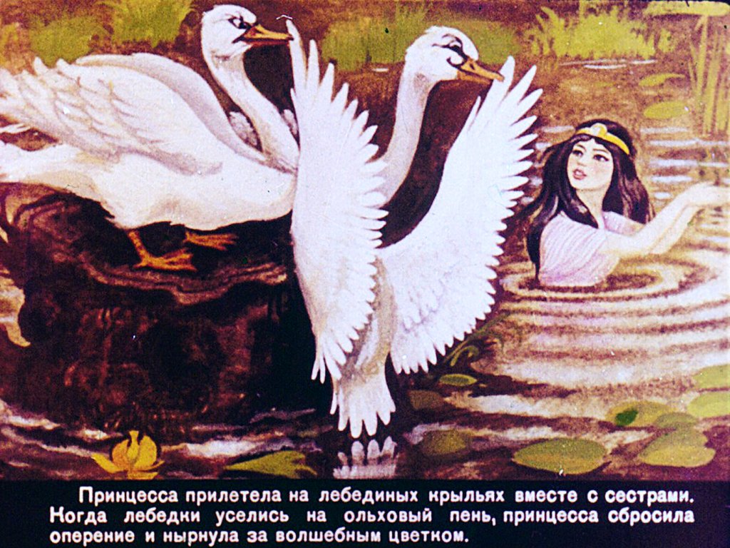 Кадр 4 диафильма «Дочь болотного царя»
