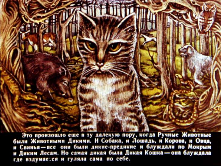 Кадр 2 диафильма «Кошка, которая гуляла сама по себе»