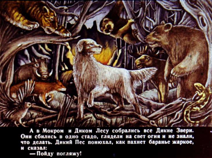 Кадр 5 диафильма «Кошка, которая гуляла сама по себе»