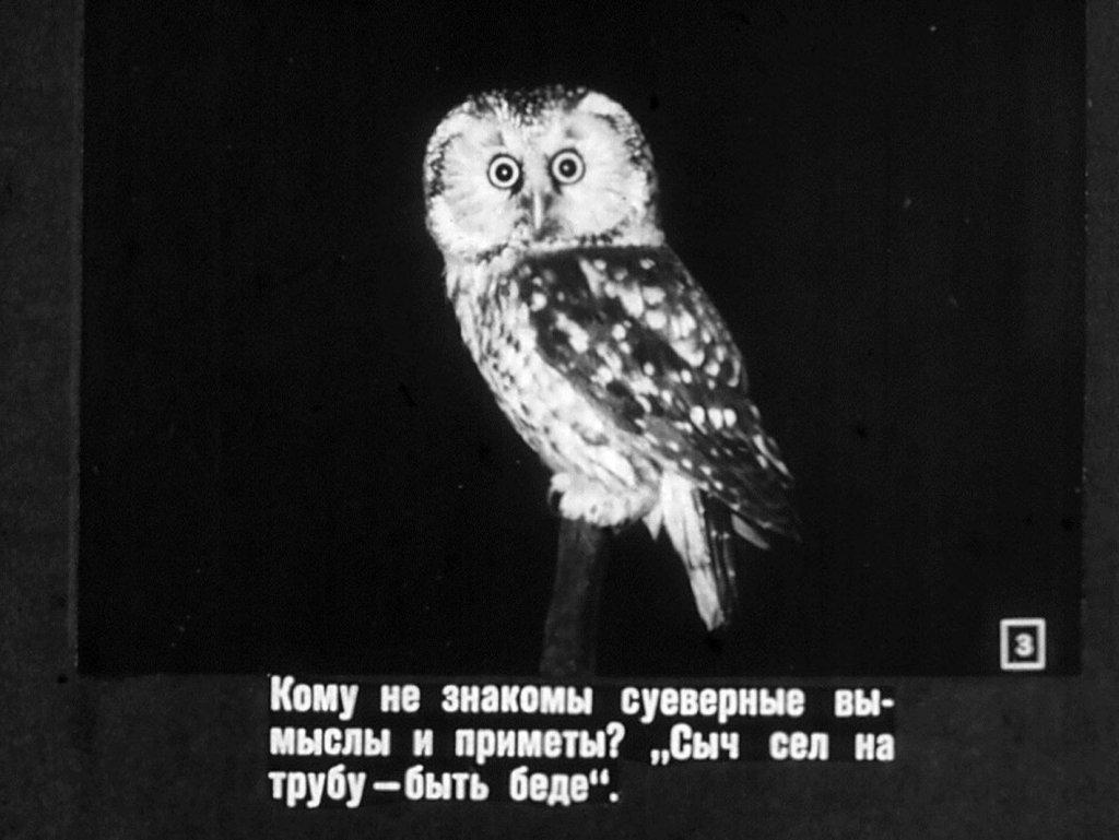 Кадр 3 диафильма «Жертвы суеверий»