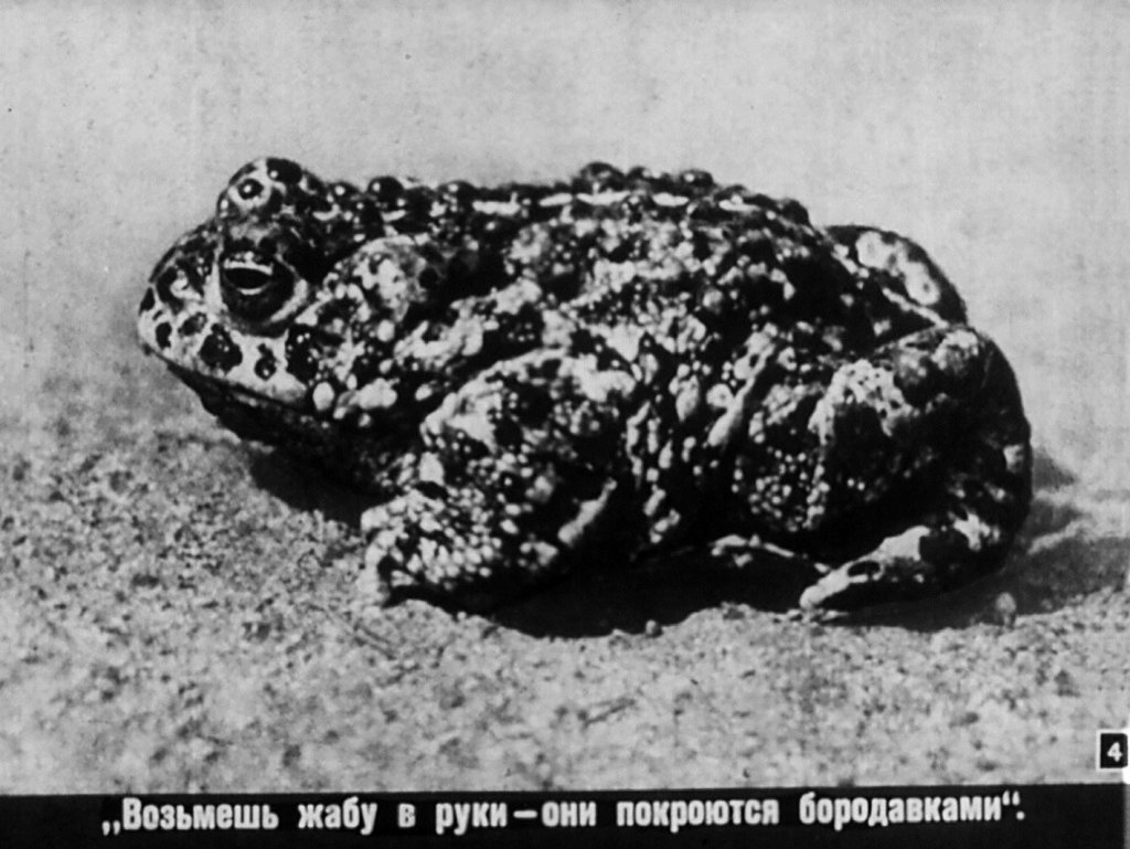 Кадр 4 диафильма «Жертвы суеверий»