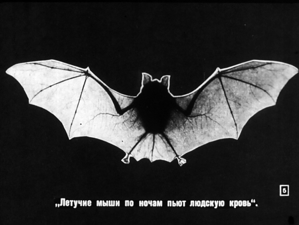Кадр 5 диафильма «Жертвы суеверий»