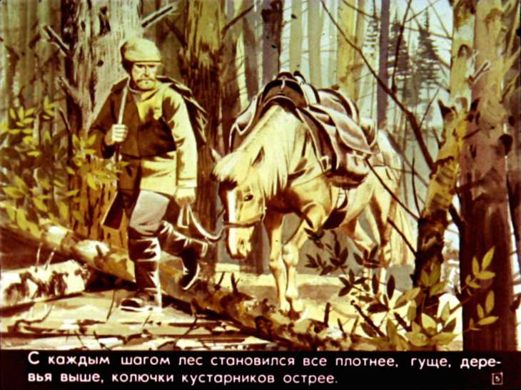 Кадр 6 диафильма «Прилагательные. Степени сравнения»