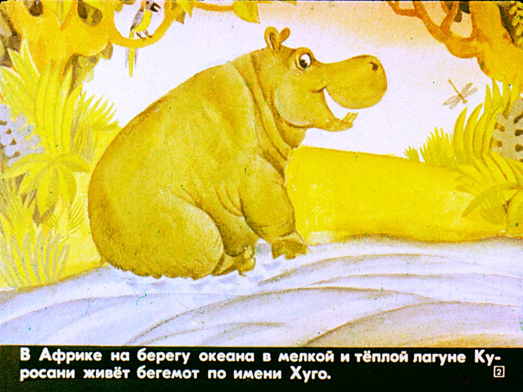 Кадр 2 диафильма «Кибоко Хуго - бегемот»