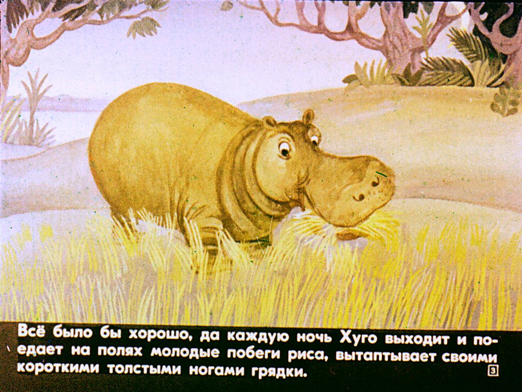 Кадр 3 диафильма «Кибоко Хуго - бегемот»