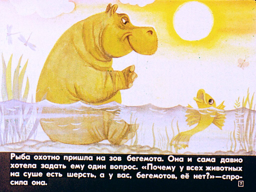 Кадр 7 диафильма «Кибоко Хуго - бегемот»