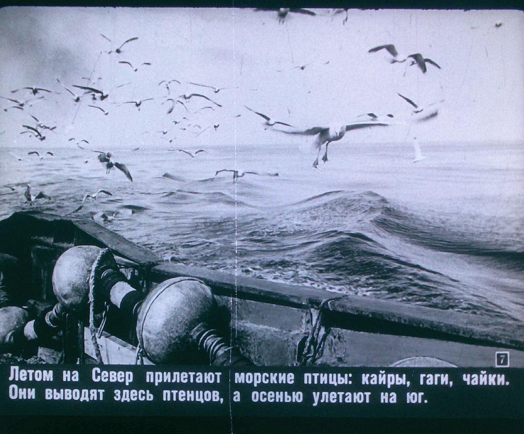 Кадр 7 диафильма «На Крайнем Севере»