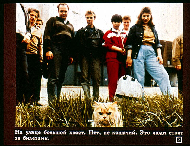 Кадр 2 диафильма «Кошачий вернисаж»