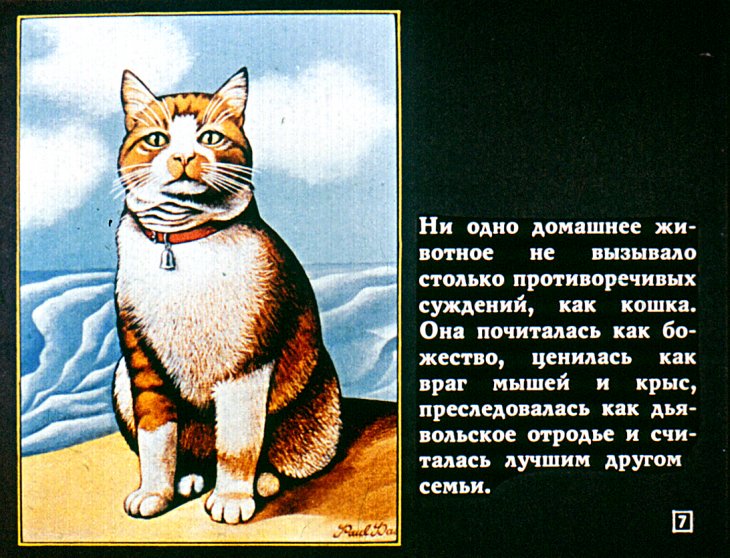 Кадр 7 диафильма «Кошачий вернисаж»