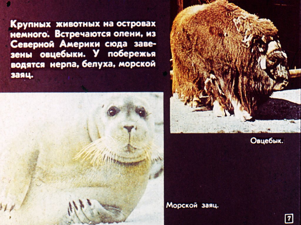 Кадр 7 диафильма «Физико-географические области зарубежной Европы»