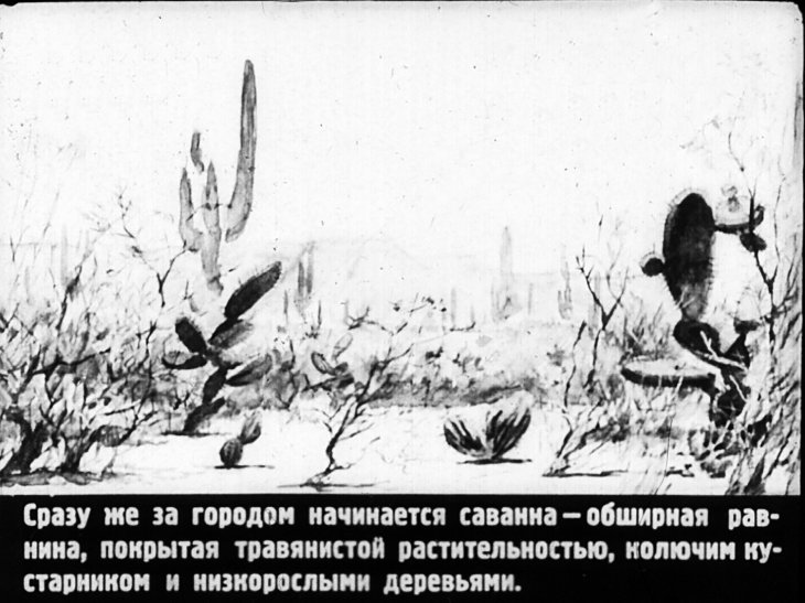 Кадр 4 диафильма «Орсо»
