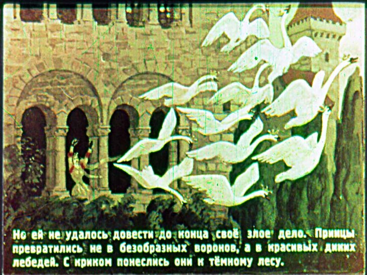 Кадр 3 диафильма «Дикие лебеди»