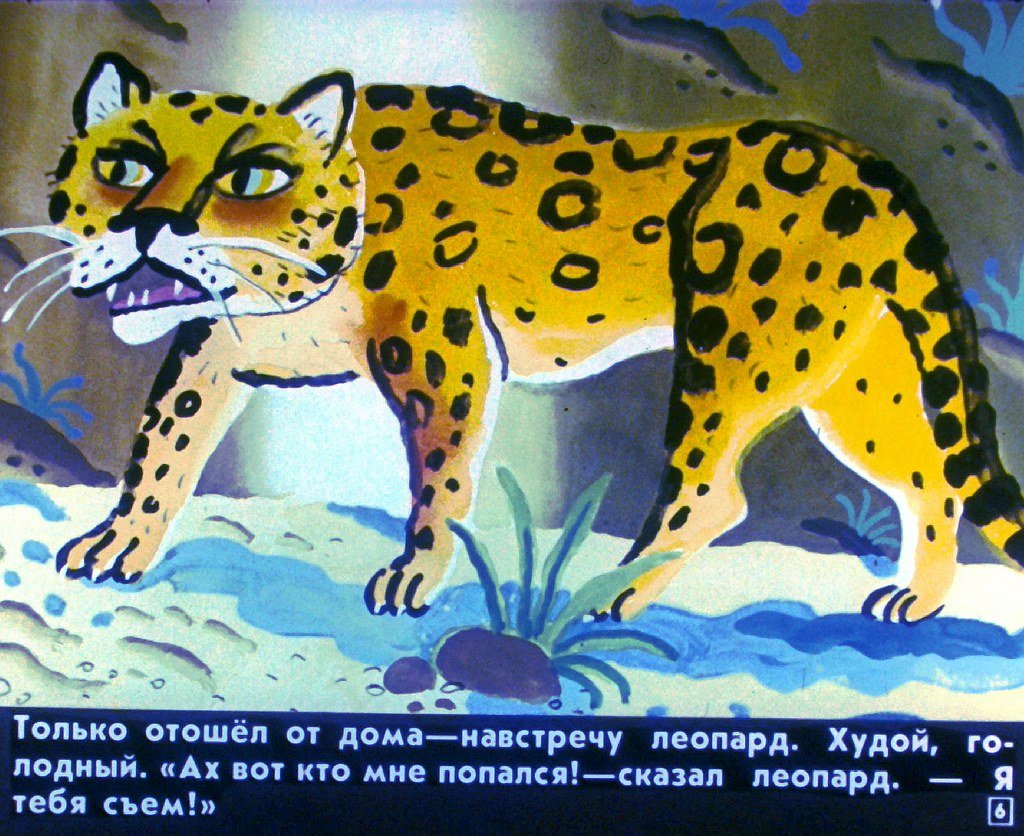 Кадр 6 диафильма «Тыква»