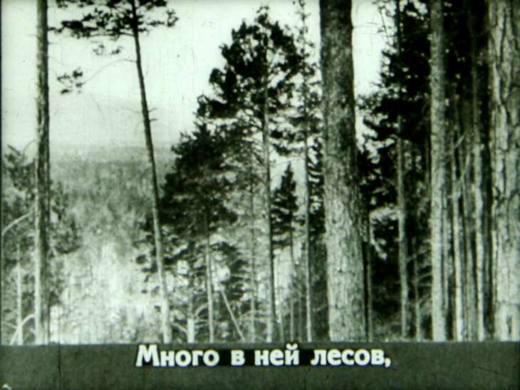 Кадр 3 диафильма «Широка страна моя родная»
