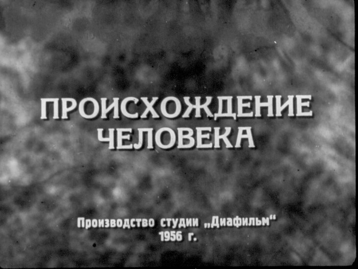 Кадр 1 диафильма «Происхождение человека»