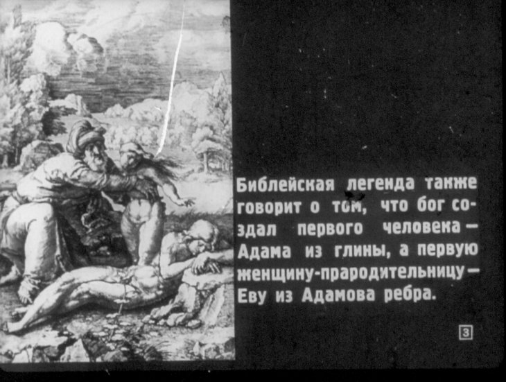 Кадр 3 диафильма «Происхождение человека»