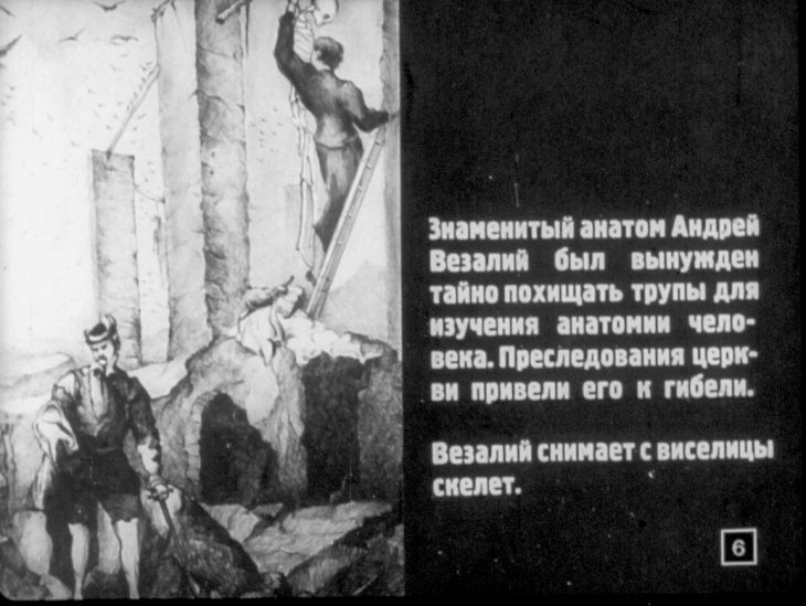 Кадр 6 диафильма «Происхождение человека»