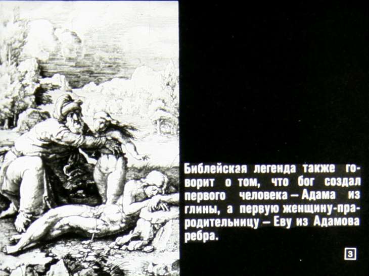 Кадр 3 диафильма «Происхождение человека»