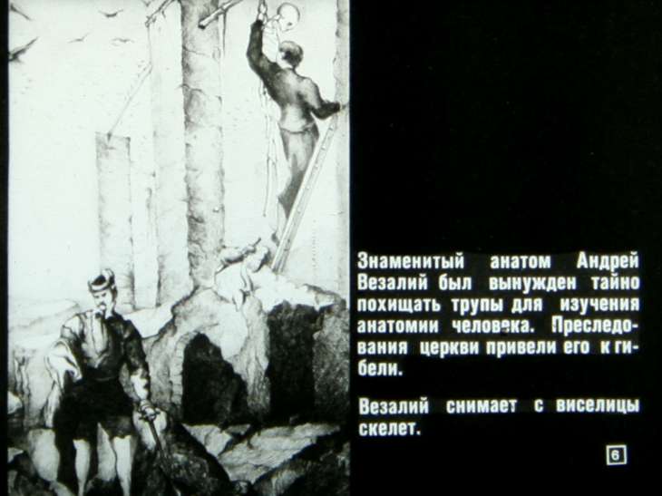Кадр 6 диафильма «Происхождение человека»