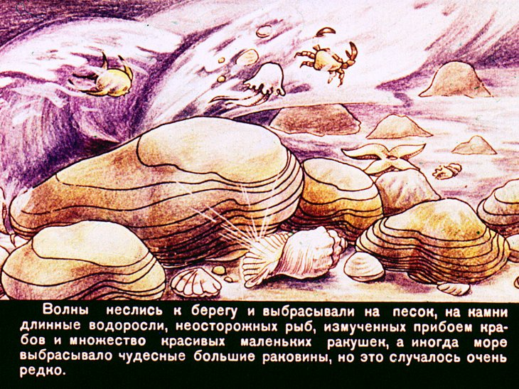 Кадр 3 диафильма «Добрая раковина»