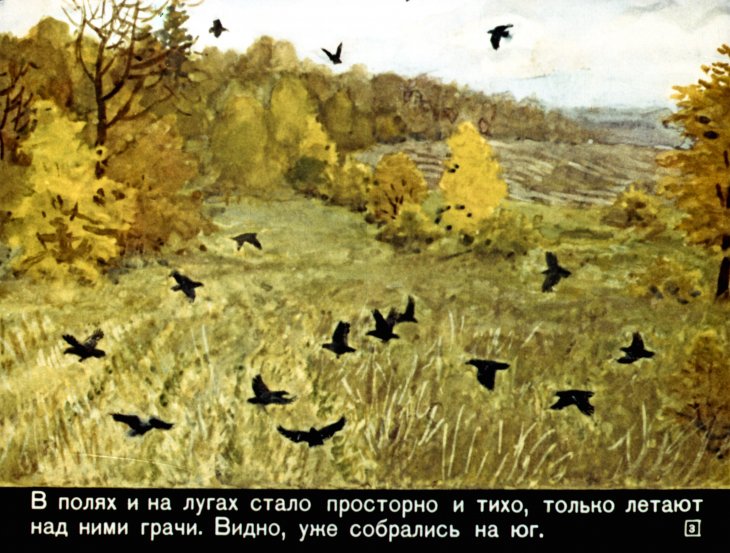 Кадр 3 диафильма «Кто как к зиме готовится»