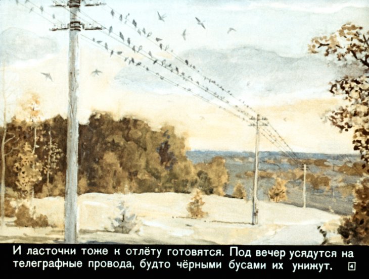 Кадр 4 диафильма «Кто как к зиме готовится»