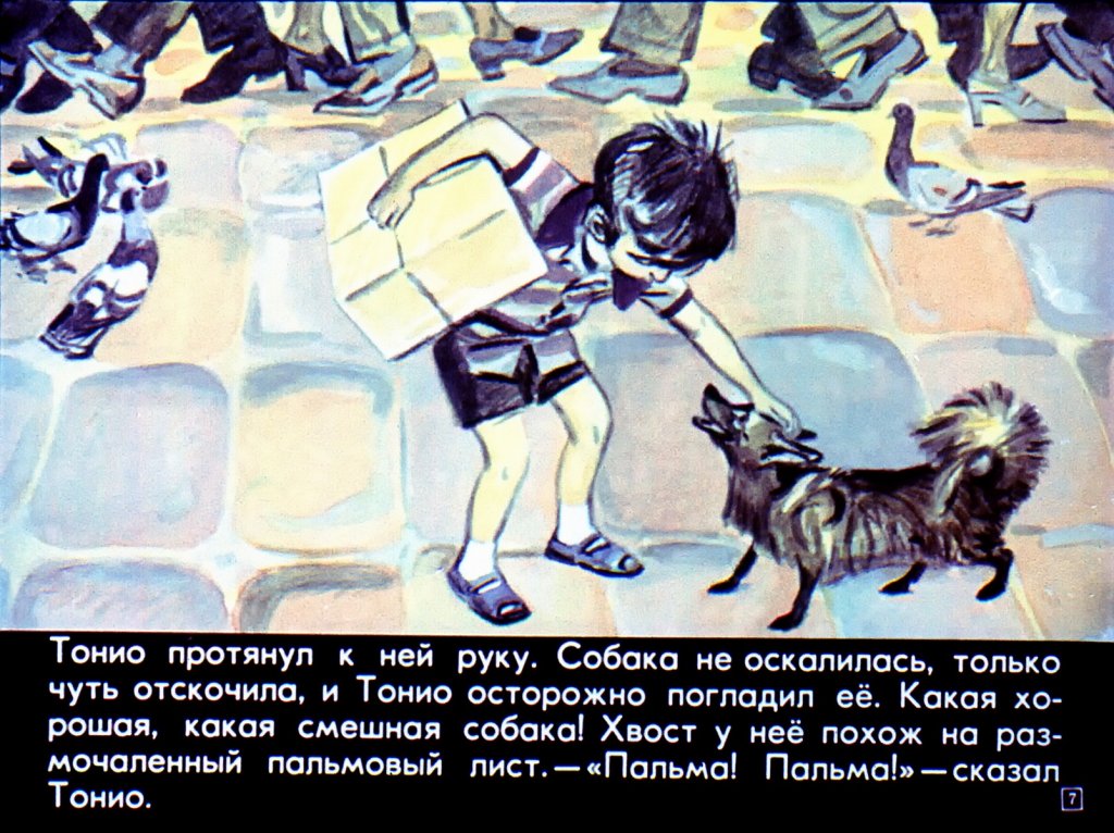 Кадр 6 диафильма «Тонио и его собака Пальма»