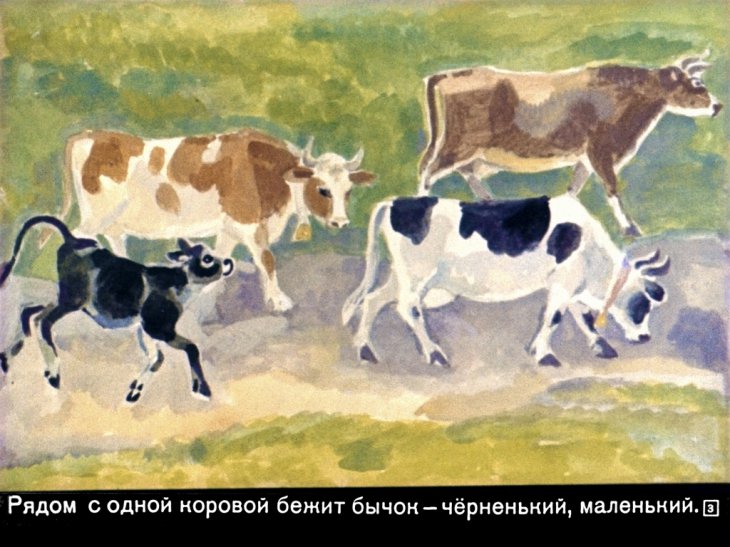 Кадр 3 диафильма «Смоляной бычок»