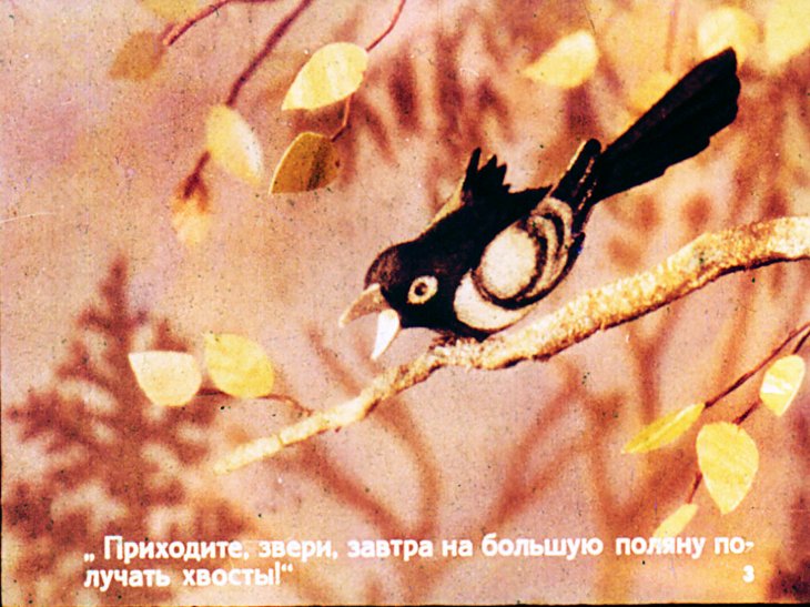 Кадр 3 диафильма «Хвосты»