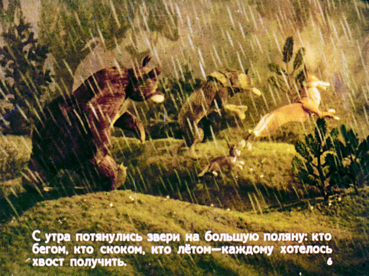 Кадр 6 диафильма «Хвосты»