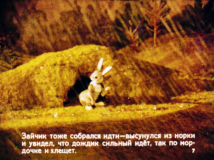 Кадр 7 диафильма «Хвосты»