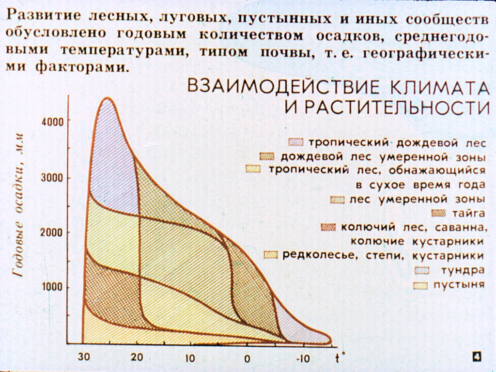 Кадр 4 диафильма «Природные сообщества растений и животных»