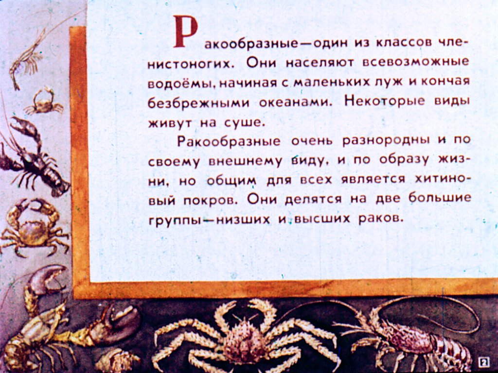 Кадр 2 диафильма «Класс ракообразных»