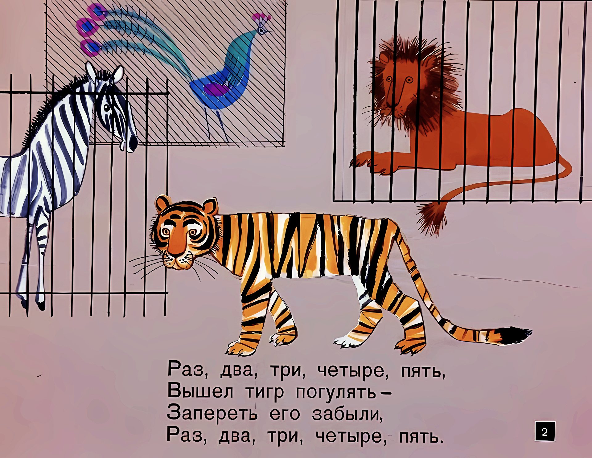 Кадр 2 диафильма «Тигр вышел погулять»