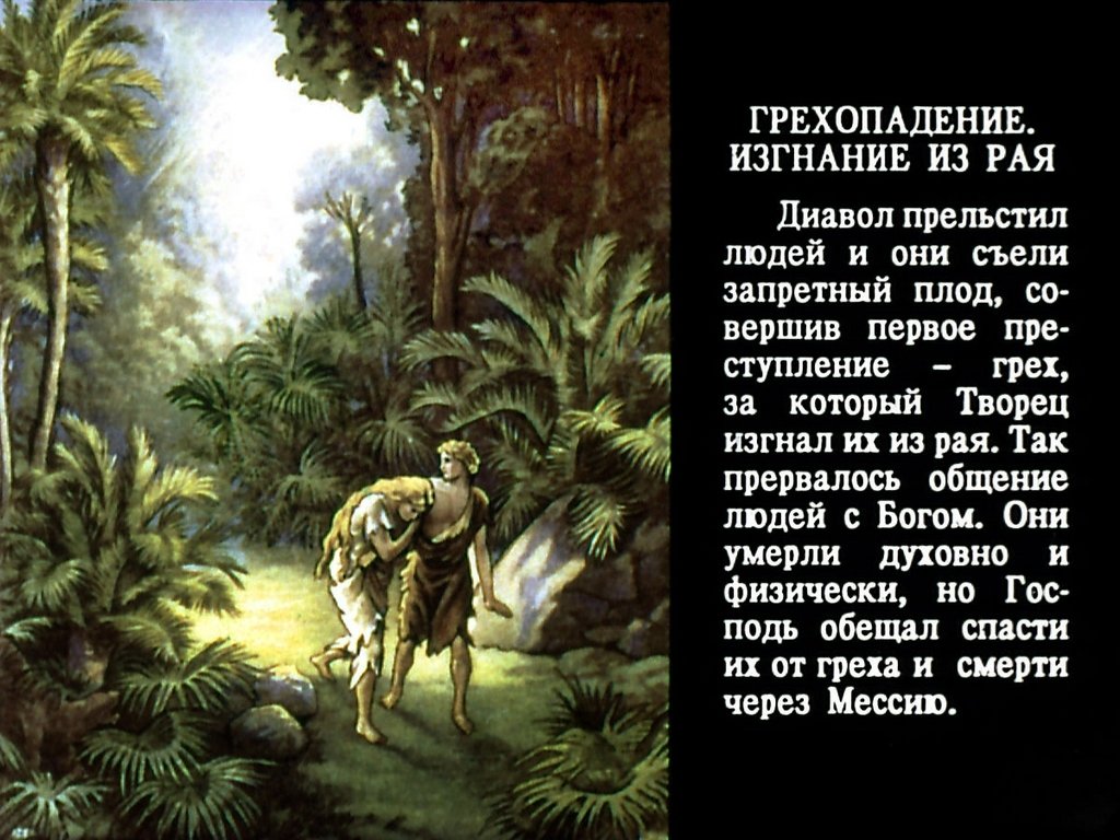 Кадр 6 диафильма «Священная история. Часть 1»